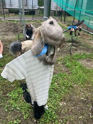 少しは大きくなってきたかな
