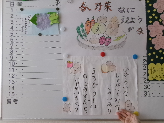 じゃがいもで一句とピーマンの収穫