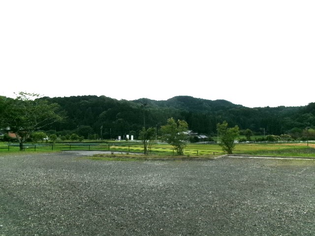 栗の花