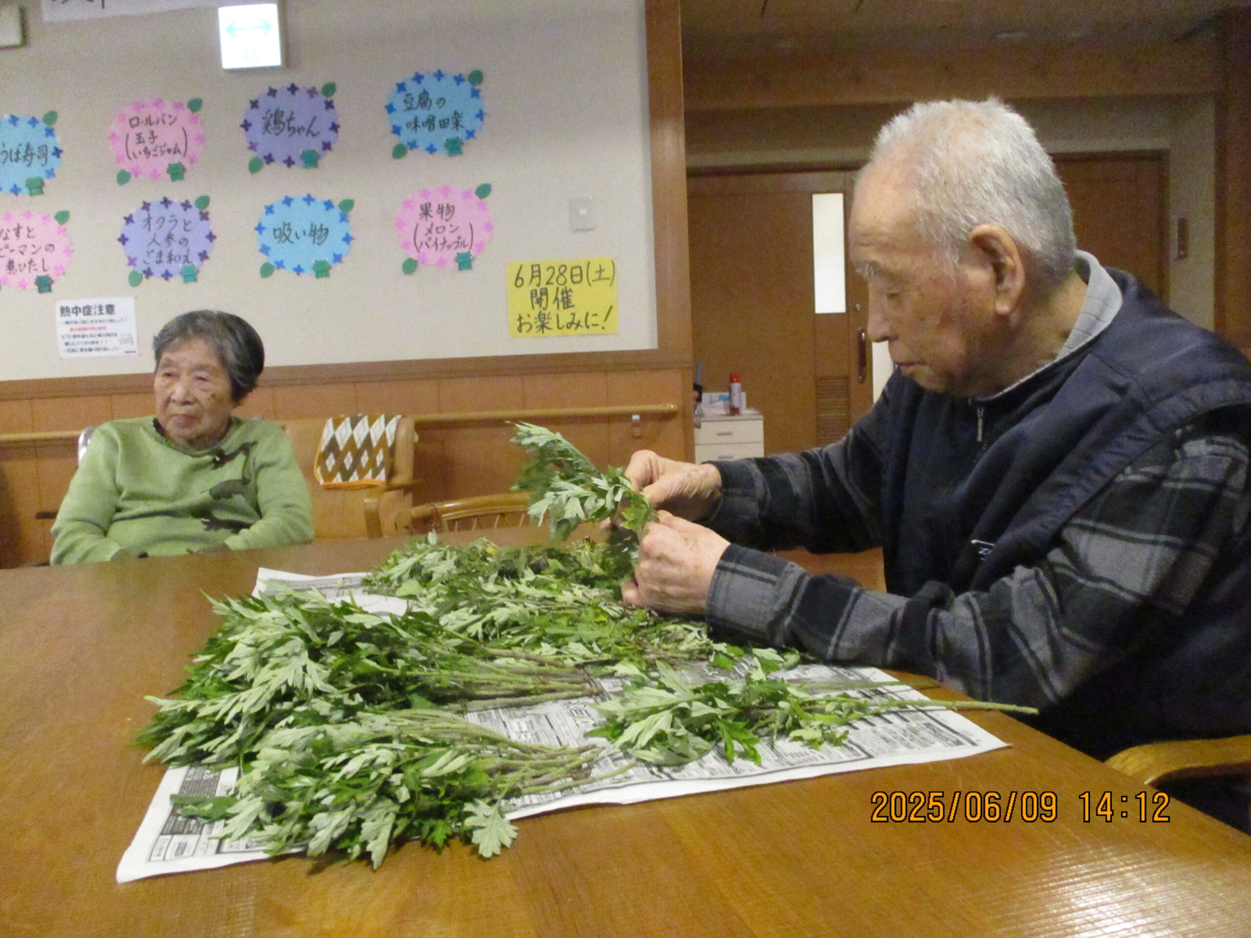 散歩！ヨモギの処理。