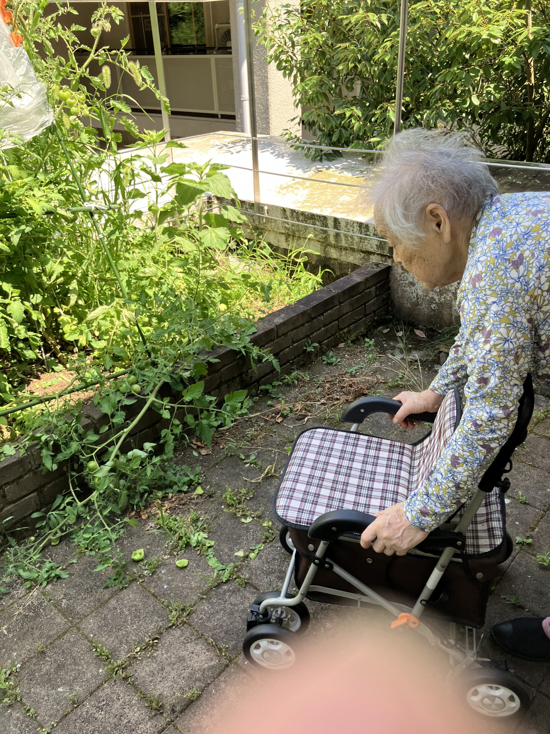 お茶会