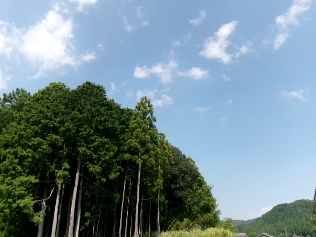敬老月間