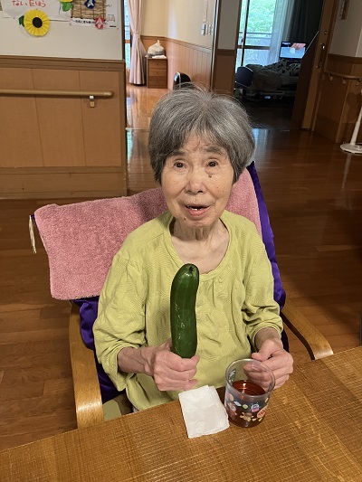収穫　大きいキュウリ