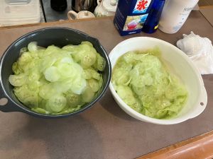 夏野菜祭り