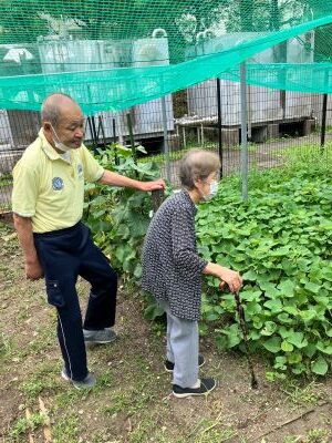 収穫のピークは越えてしまいましたが