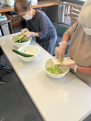 畑のきゅうり、トマトはこれで終わりとなりますが、