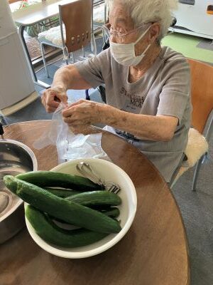 畑のきゅうりが復活、再び実り出しまして