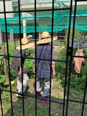 雨も少し降り、いつもと比べて涼しかったので