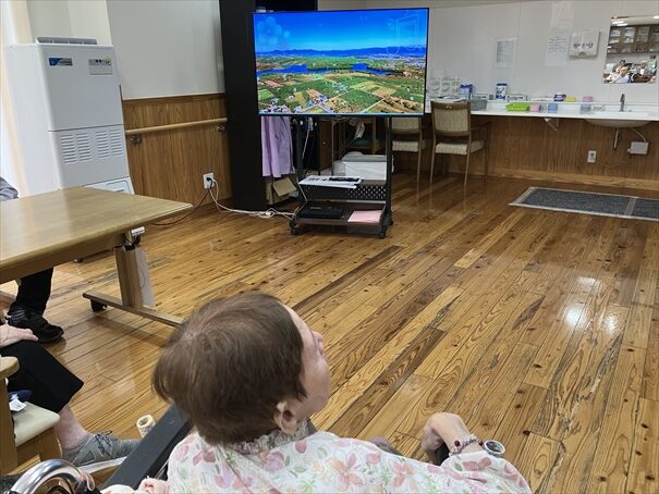 のんびりと