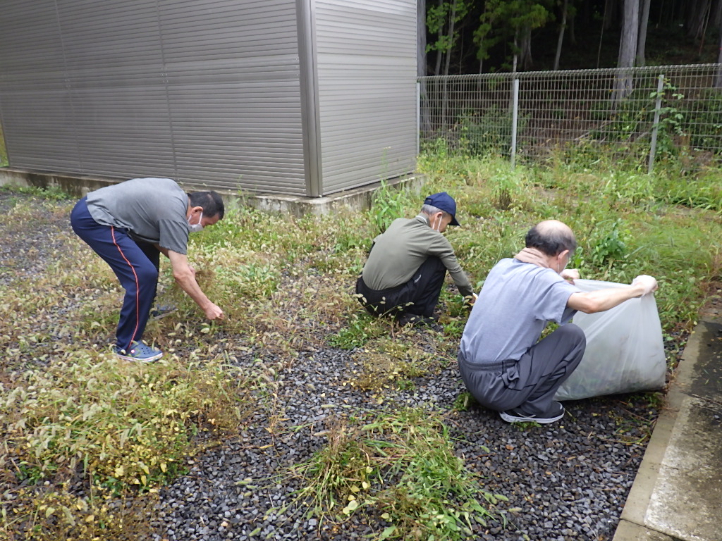 本日の草取り