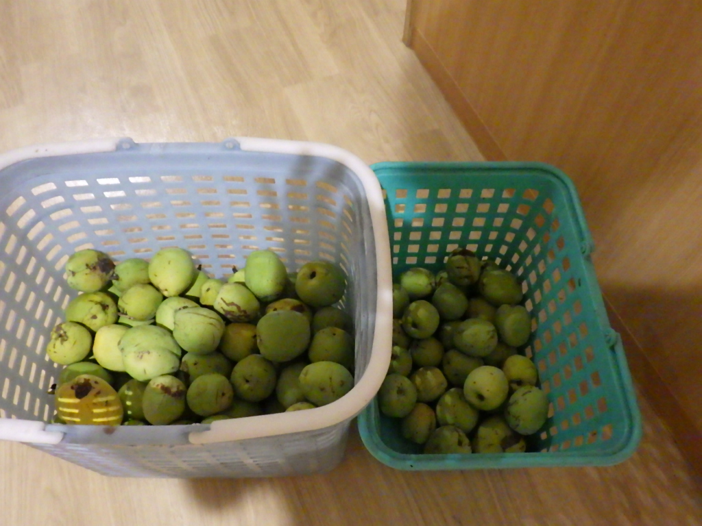 地域の皆様ありがとうございます。