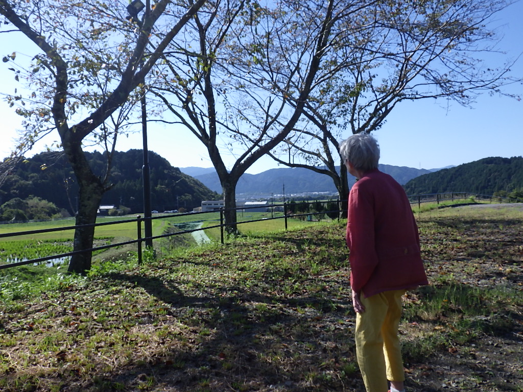 秋晴れのお散歩