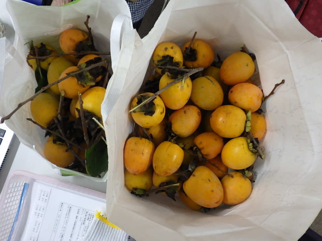 秋の味覚・・・