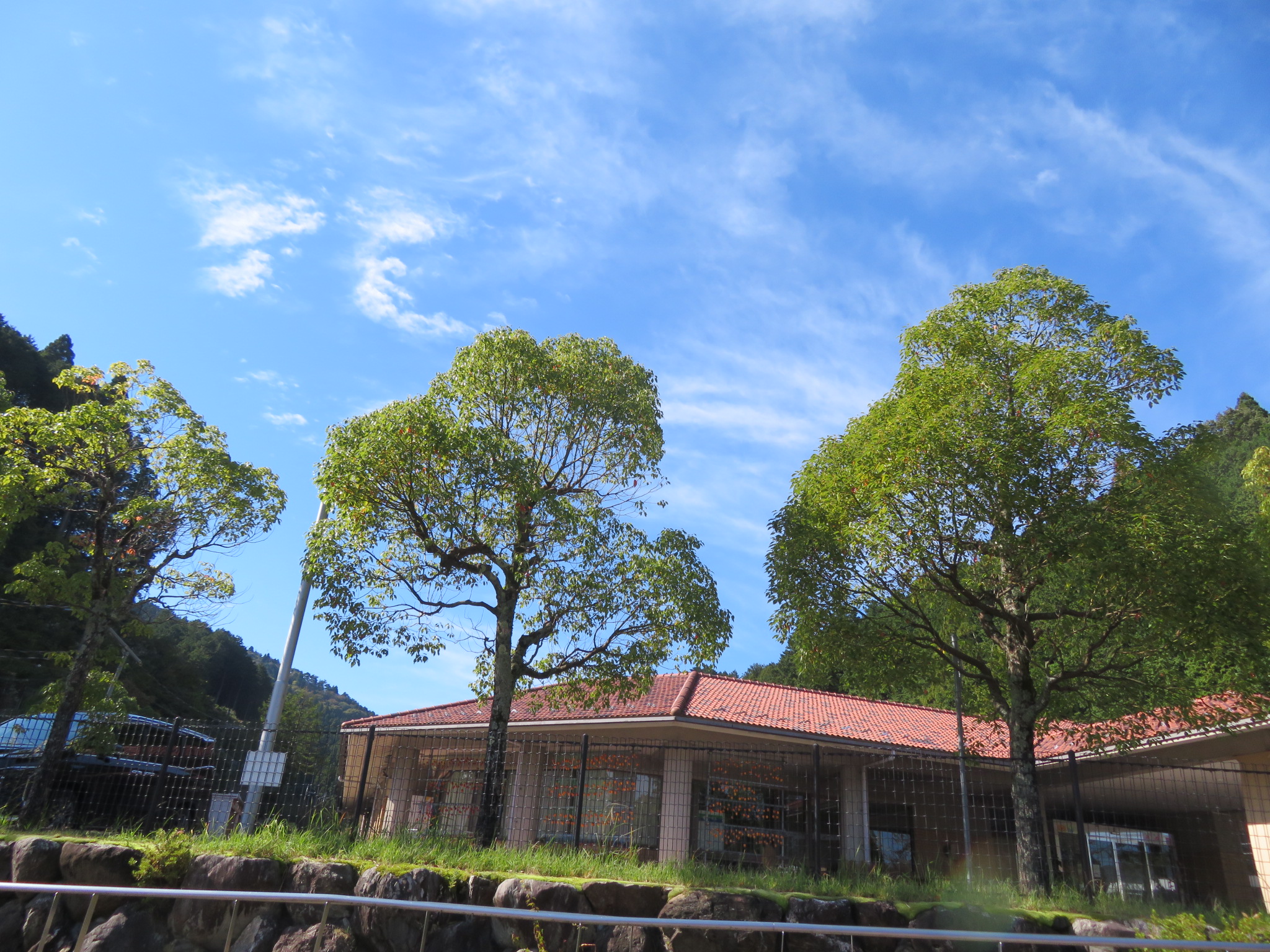 四季の施設風景