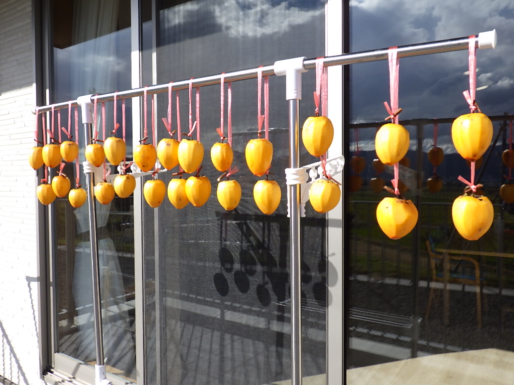 干し柿を作りました