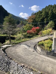 クリスマスの準備