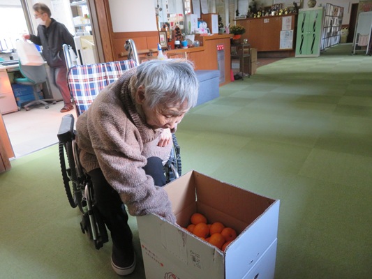 いただいたみかんを、みなさんに配りました。