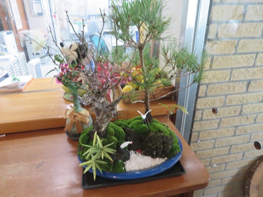 正月用の寄せ植えを置いていただきました。