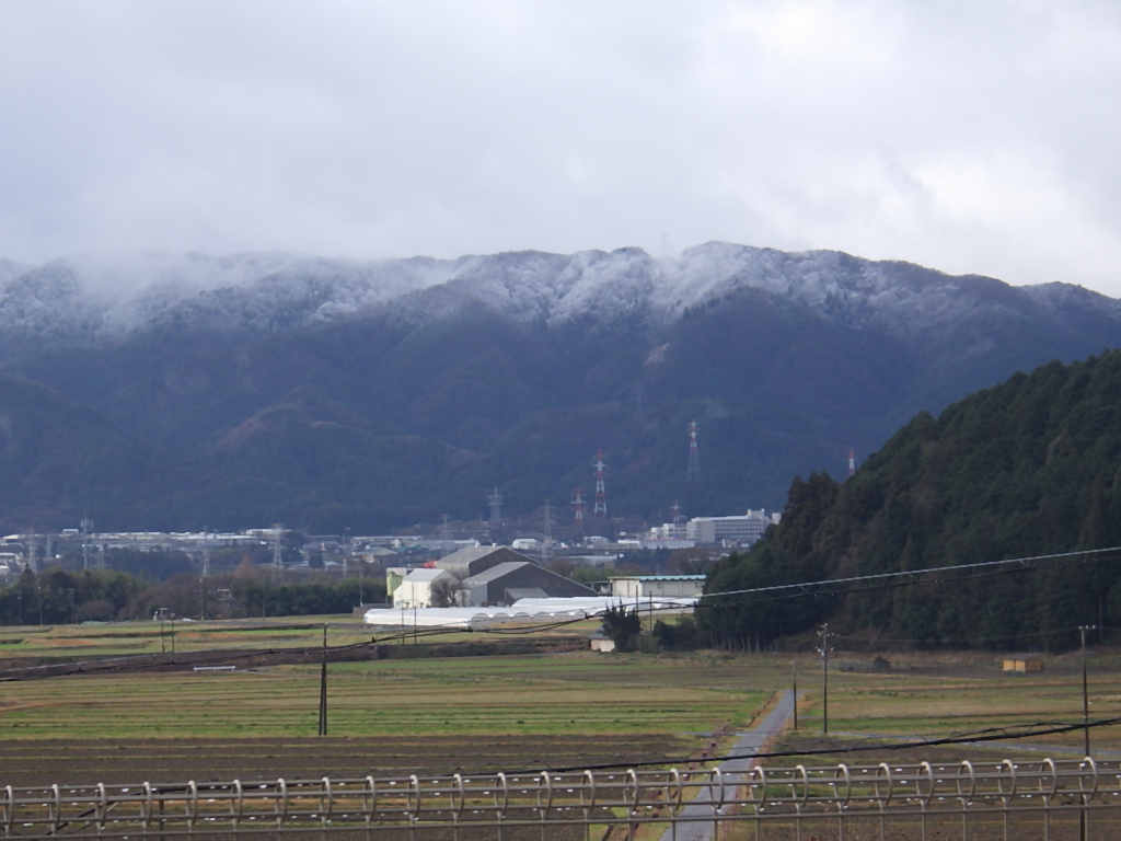 新しい年を迎えました