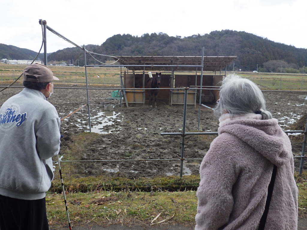 馬小屋まで散歩しましょう！