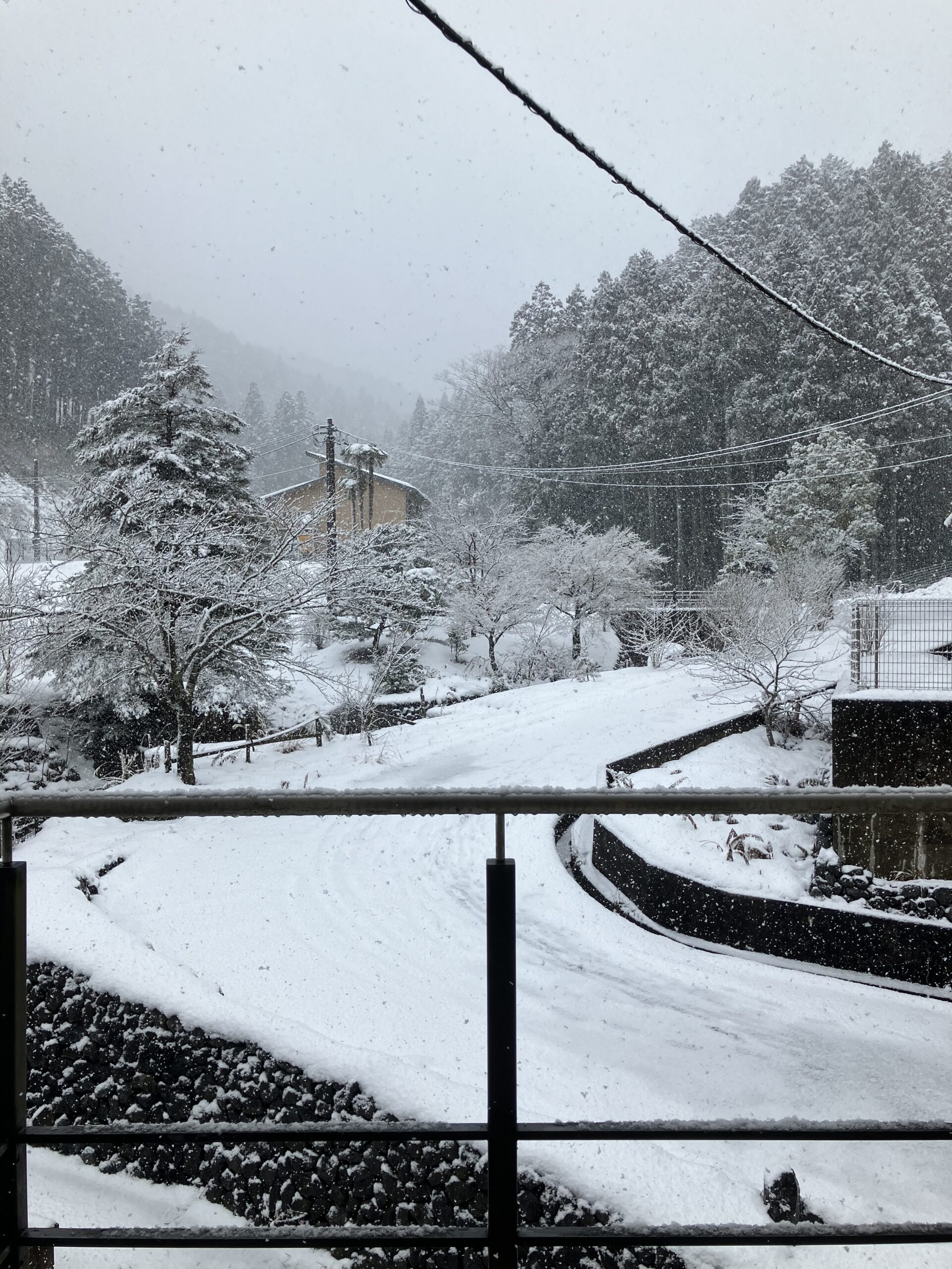 節分にむけて・・