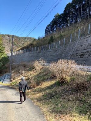 春一番とはいかないものの