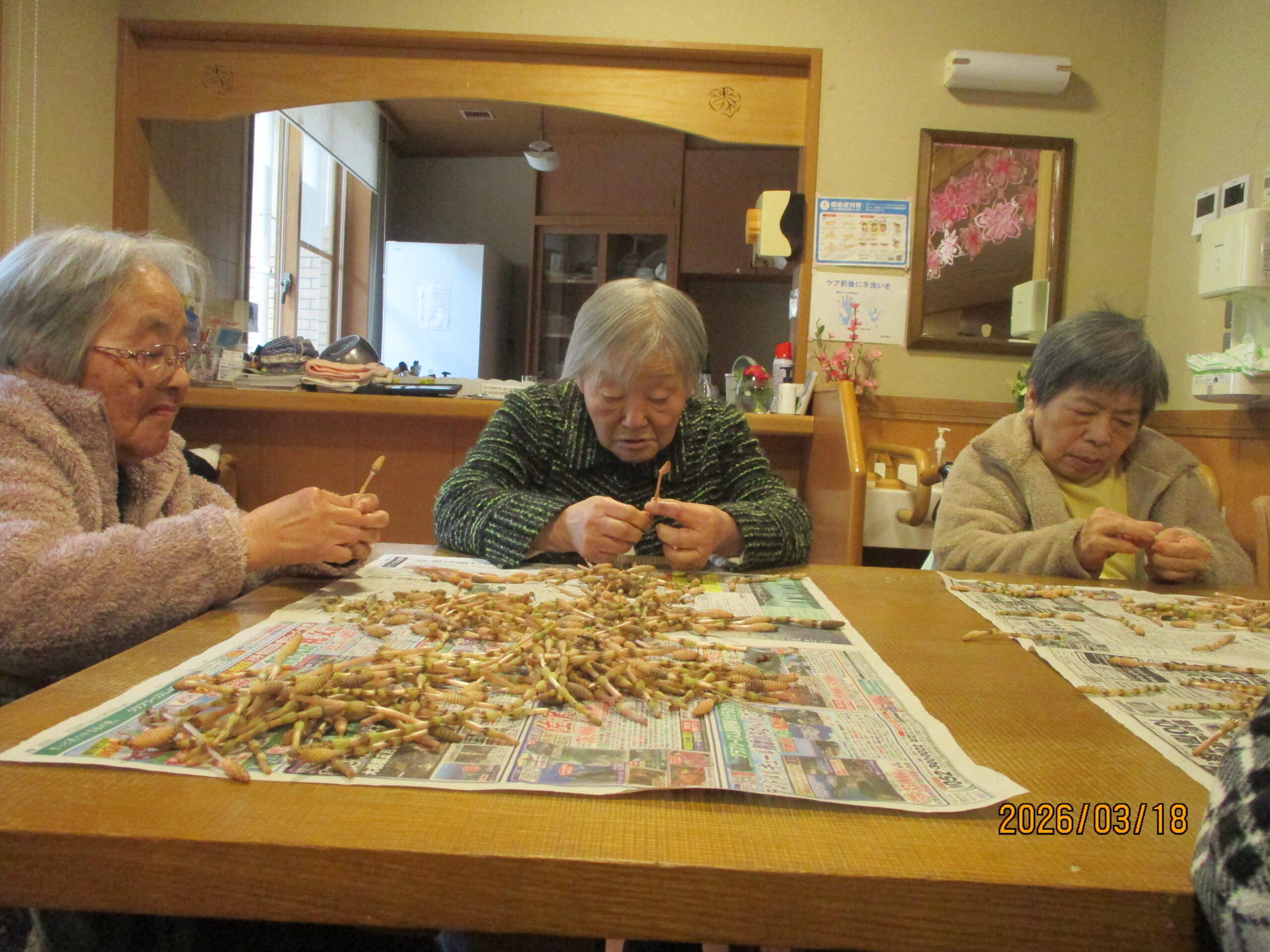 春はもうすぐですね。