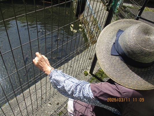 おひさまでポッカポカ