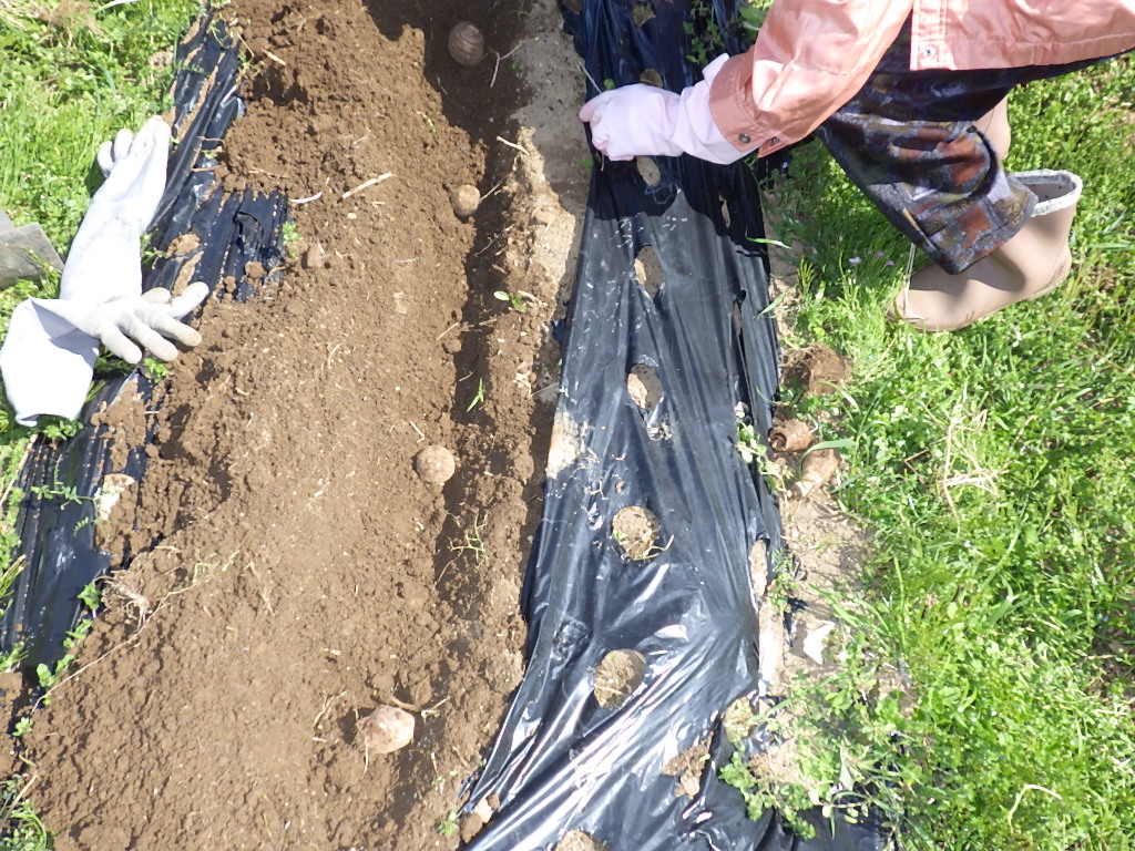 5月なみの暖かさ