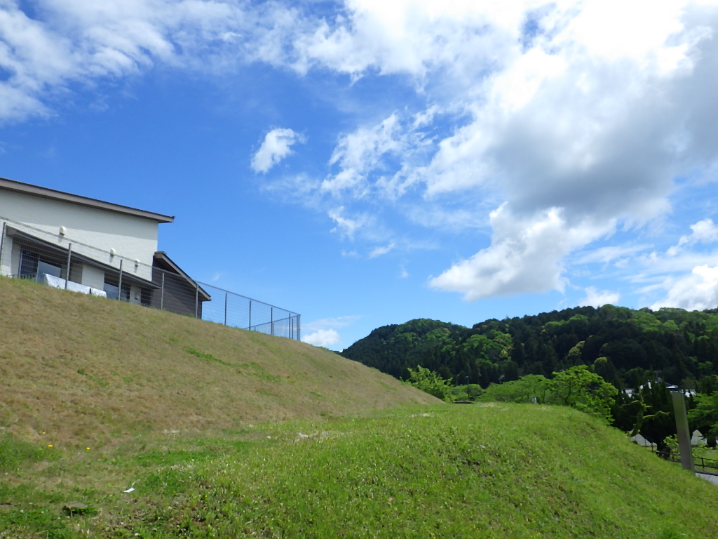 散歩の後は筍ご飯で！