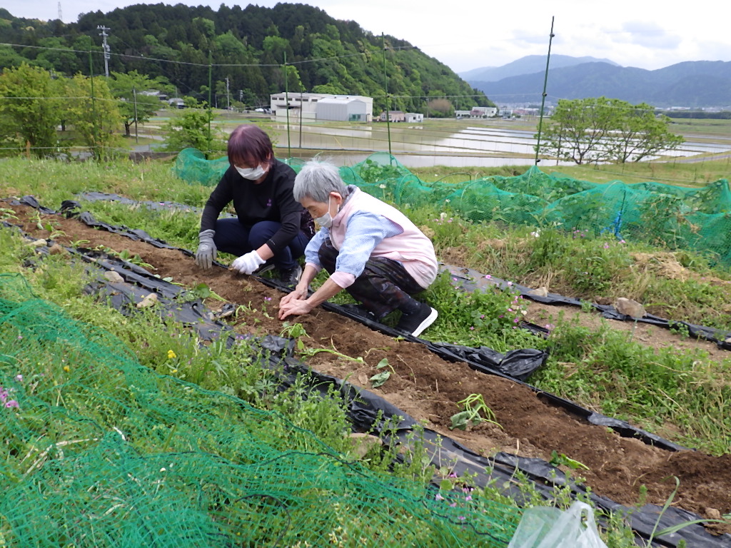 秋が楽しみです