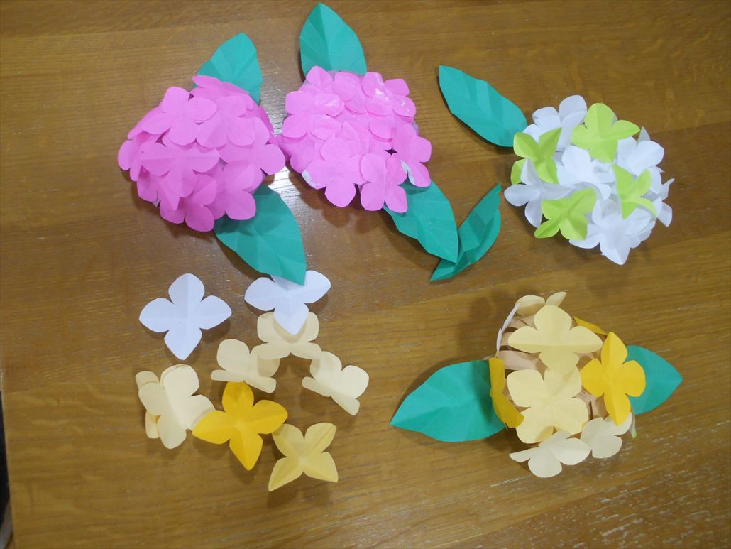 アジサイの花