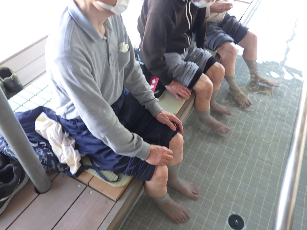 太陽の光あびて