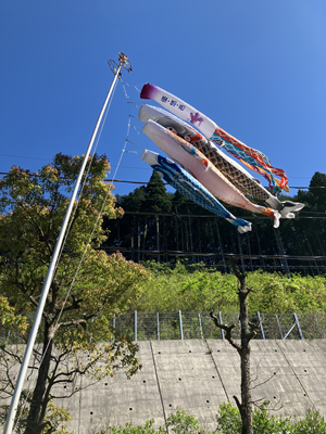 こいのぼりを見る会