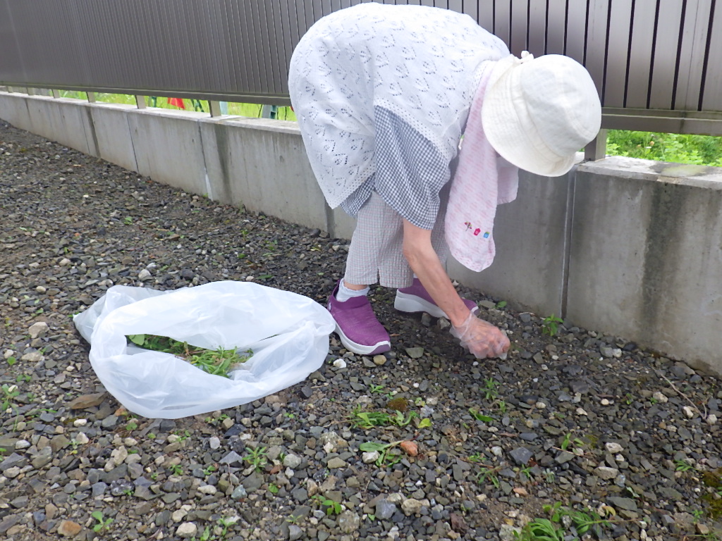草取り日和