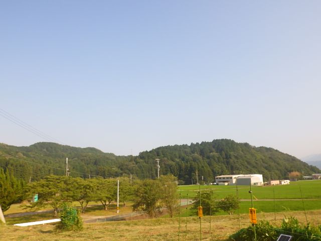 草刈り