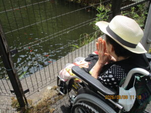 夏の散歩