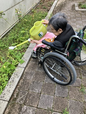 お手伝い