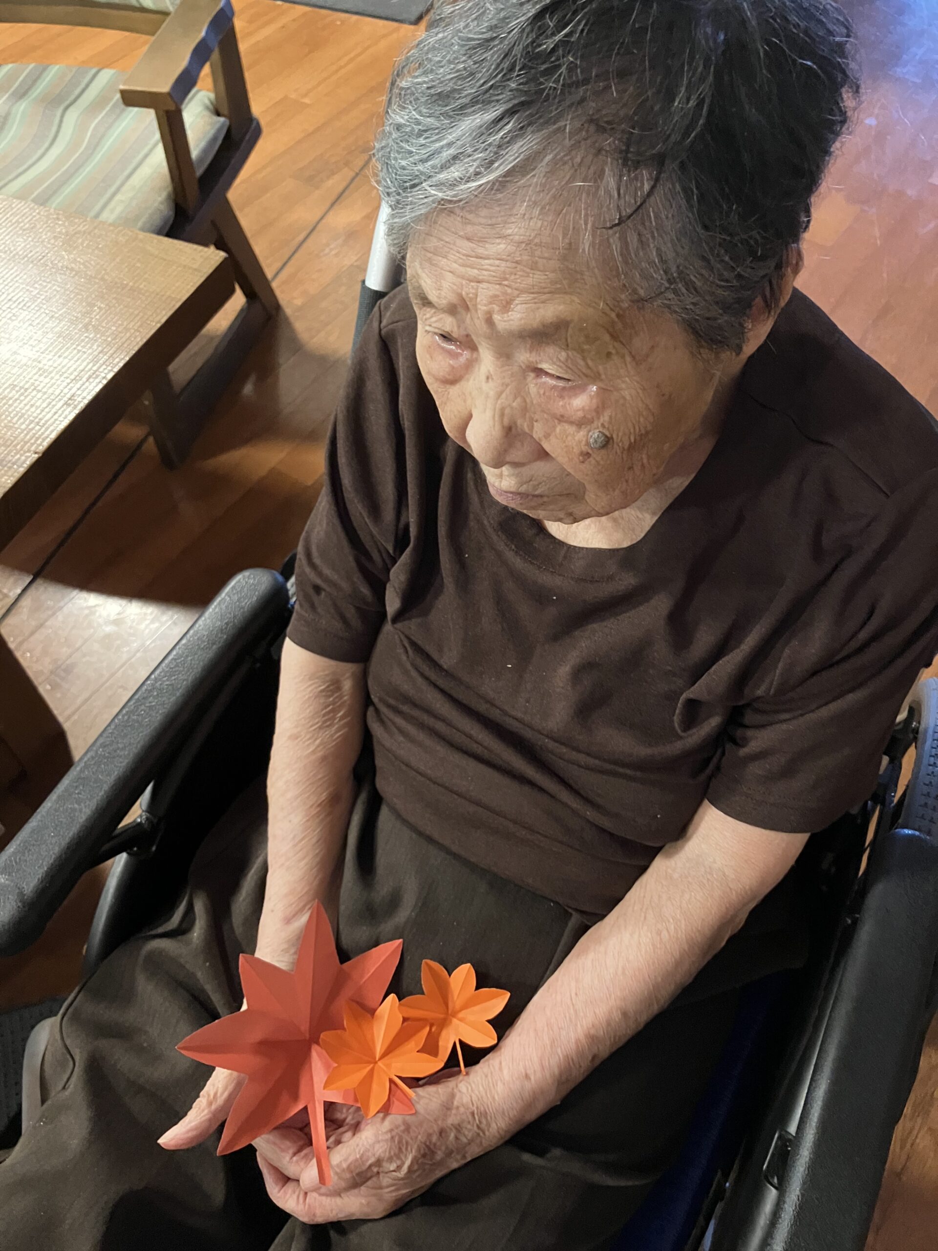 秋の飾り,野菜の観察