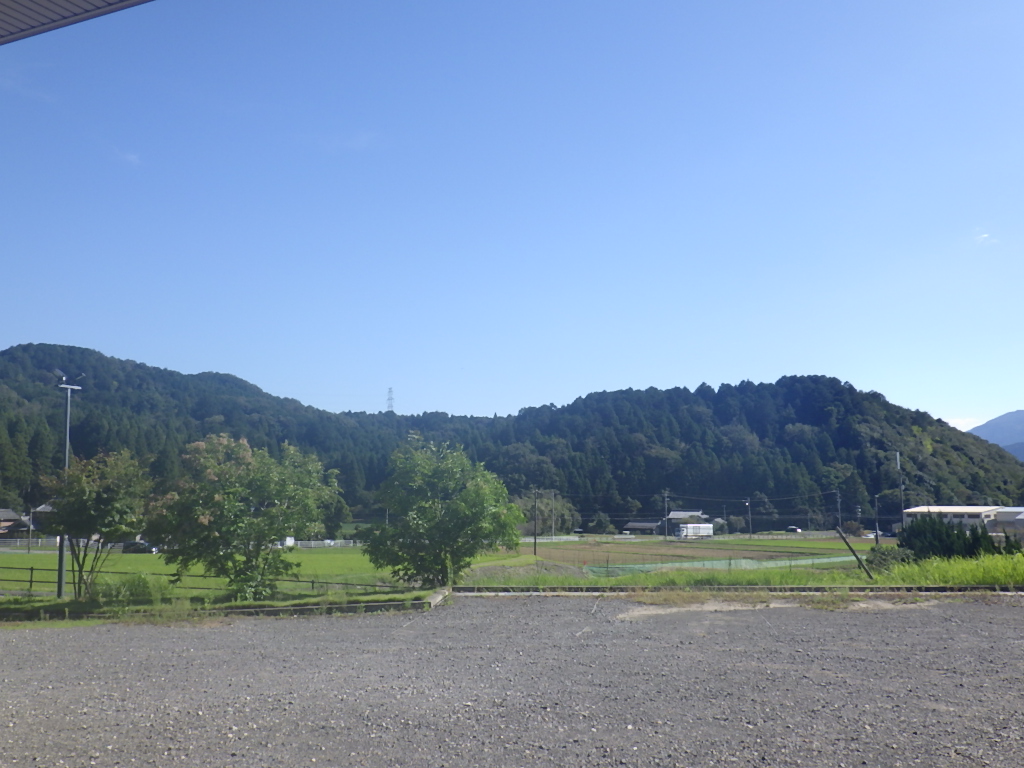 お散歩日和ですね